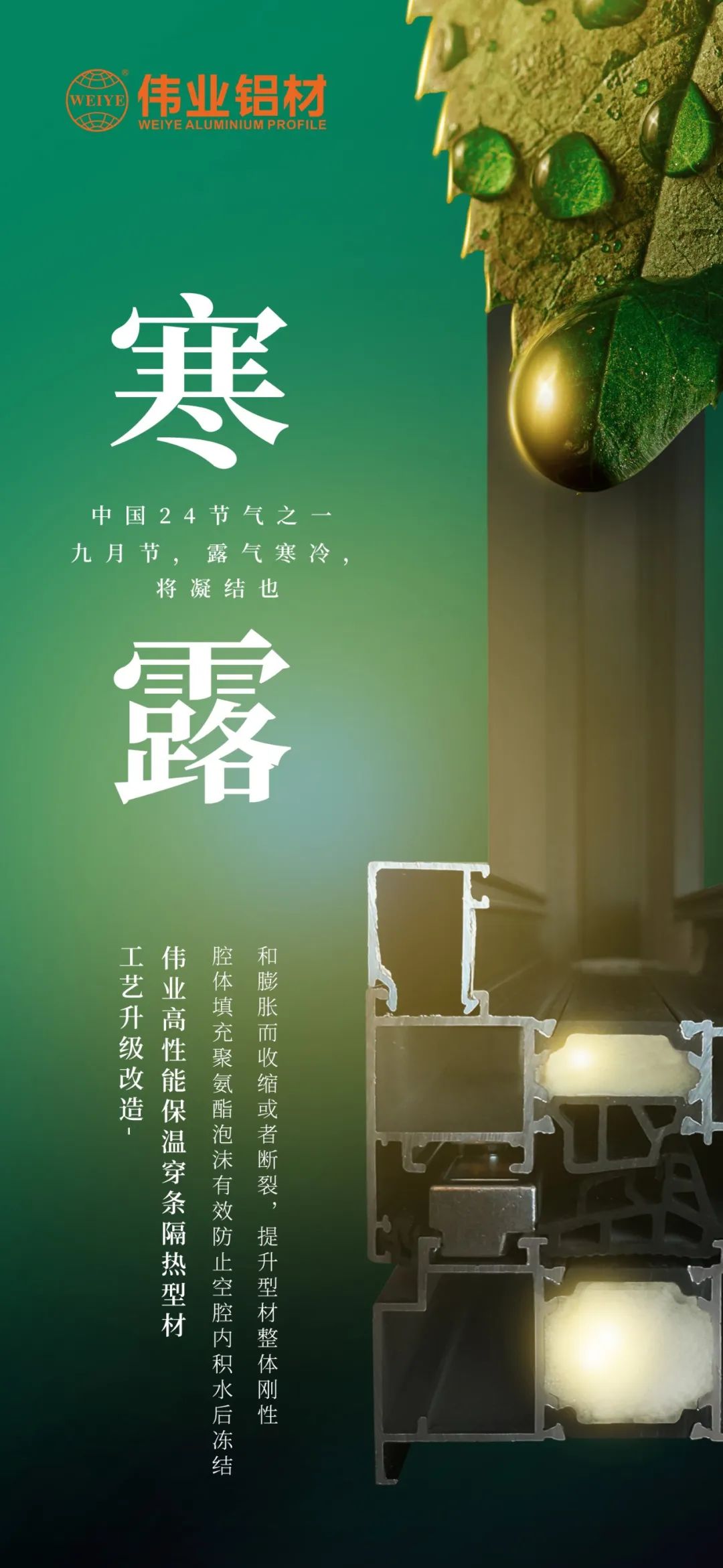 #寒露 九月节，，露气严寒，，将凝聚也 时光入深秋，，岁月便深情